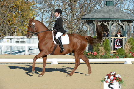 HHB-DressageFinals-11-9-13-2347-DDeRosaPhoto