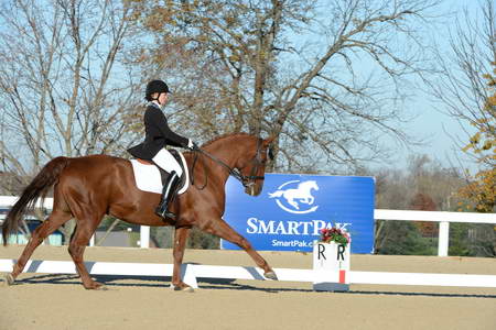 HHB-DressageFinals-11-9-13-2351-DDeRosaPhoto