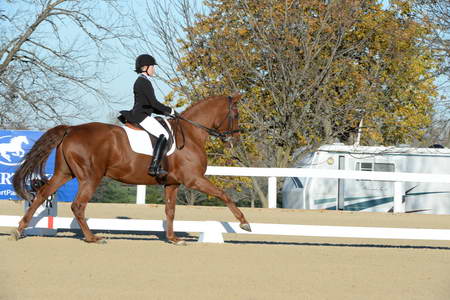 HHB-DressageFinals-11-9-13-2352-DDeRosaPhoto