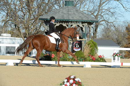 HHB-DressageFinals-11-9-13-2354-DDeRosaPhoto