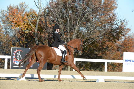 HHB-DressageFinals-11-9-13-2356-DDeRosaPhoto