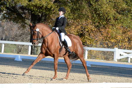 HHB-DressageFinals-11-9-13-2360-DDeRosaPhoto