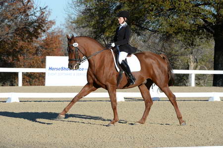 HHB-DressageFinals-11-9-13-2365-DDeRosaPhoto