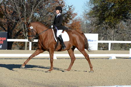HHB-DressageFinals-11-9-13-2366-DDeRosaPhoto