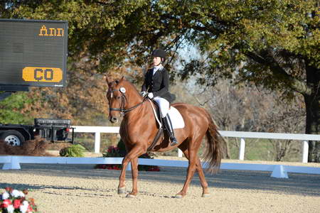HHB-DressageFinals-11-9-13-2372-DDeRosaPhoto