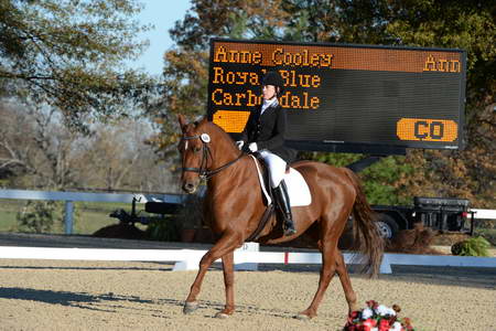 HHB-DressageFinals-11-9-13-2373-DDeRosaPhoto