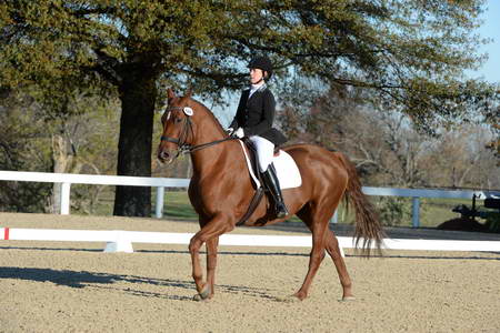 HHB-DressageFinals-11-9-13-2374-DDeRosaPhoto