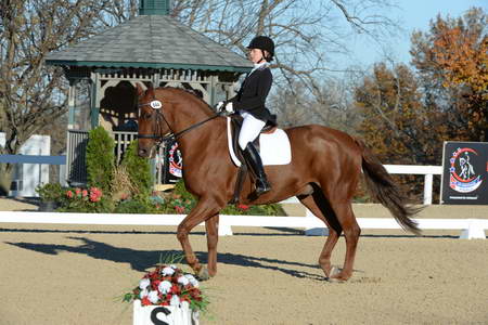 HHB-DressageFinals-11-9-13-2377-DDeRosaPhoto