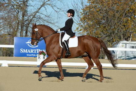 HHB-DressageFinals-11-9-13-2381-DDeRosaPhoto