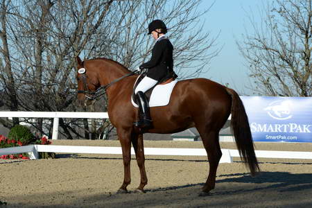 HHB-DressageFinals-11-9-13-2386-DDeRosaPhoto