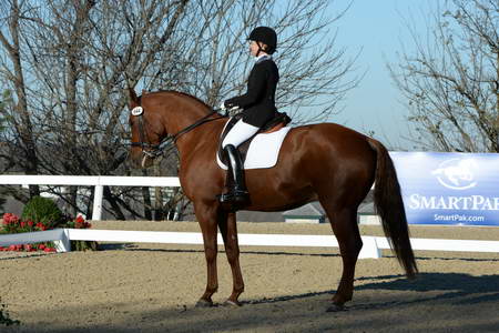 HHB-DressageFinals-11-9-13-2387-DDeRosaPhoto