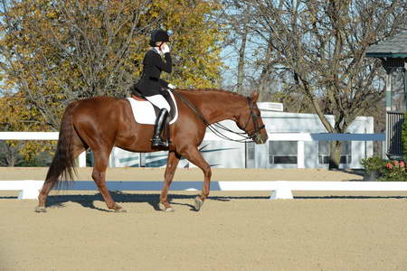 HHB-DressageFinals-11-9-13-2389-DDeRosaPhoto