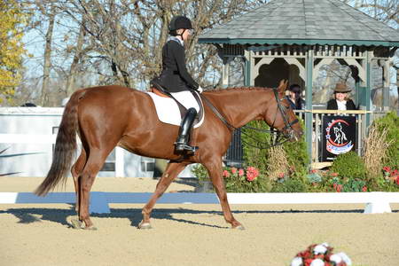 HHB-DressageFinals-11-9-13-2390-DDeRosaPhoto