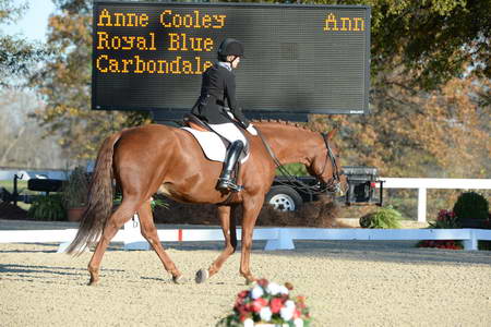 HHB-DressageFinals-11-9-13-2395-DDeRosaPhoto