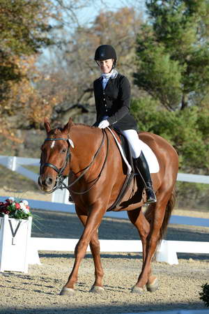 HHB-DressageFinals-11-9-13-2398-DDeRosaPhoto