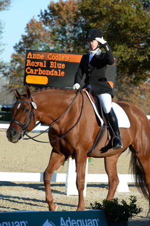 HHB-DressageFinals-11-9-13-2402-DDeRosaPhoto
