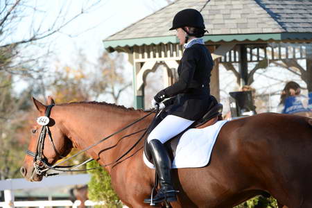 HHB-DressageFinals-11-9-13-2405-DDeRosaPhoto
