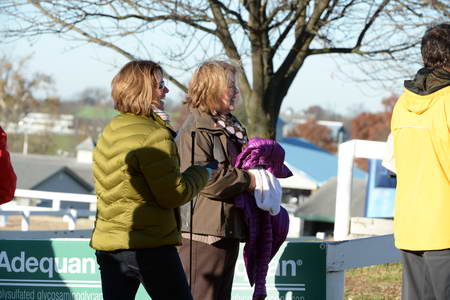 HHB-DressageFinals-11-9-13-2414-DDeRosaPhoto