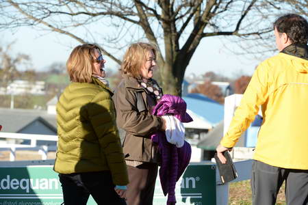 HHB-DressageFinals-11-9-13-2415-DDeRosaPhoto
