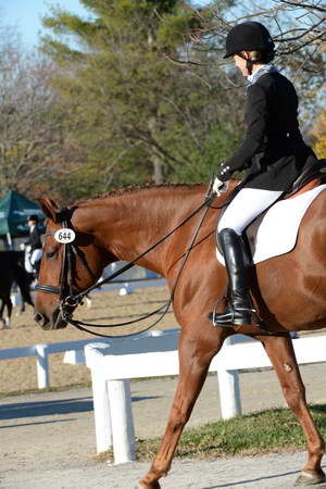 HHB-DressageFinals-11-9-13-2418-DDeRosaPhoto