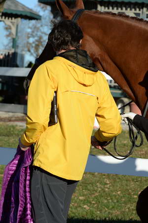 HHB-DressageFinals-11-9-13-2453-DDeRosaPhoto