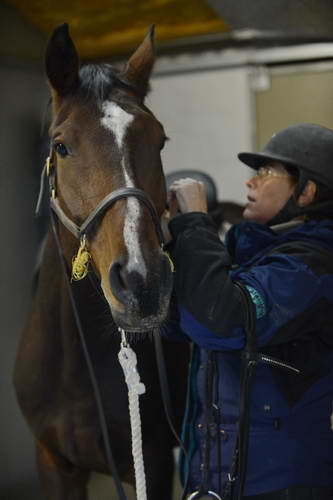 HHB1-10-13-12-9304-DDeRosaPhoto