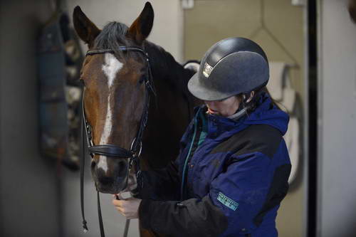 HHB1-10-13-12-9318-DDeRosaPhoto