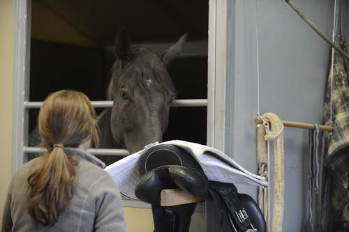 HHB1-10-13-12-9688-DDeRosaPhoto