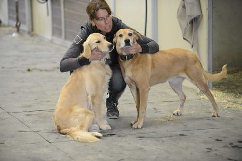 HHB2-10-13-12-0828-DDeRosaPhoto