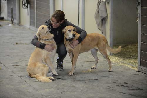 HHB2-10-13-12-0831-DDeRosaPhoto