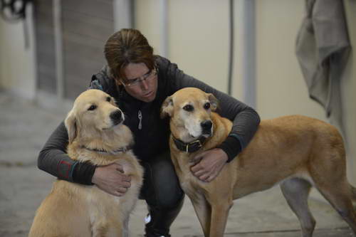 HHB2-10-13-12-0832-DDeRosaPhoto