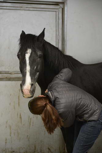 HHB2-10-14-12-2130-DDeRosaPhoto