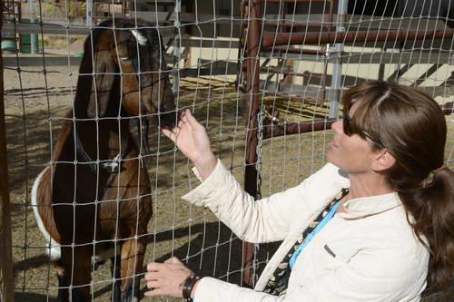 HHB2-10-16-12-2455-DDeRosaPhoto