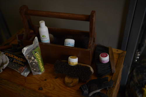 HHB2-10-16-12-2860-DDeRosaPhoto