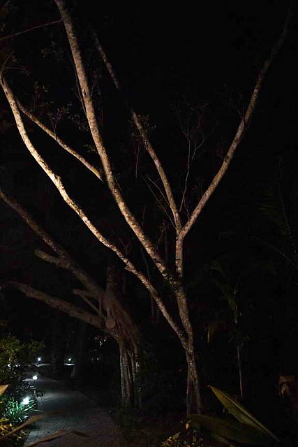 Hippocrates-1-15-17-3701-DDeRosaPhoto