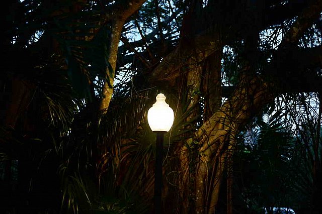 Hippocrates-1-15-17-7178-DDeRosaPhoto