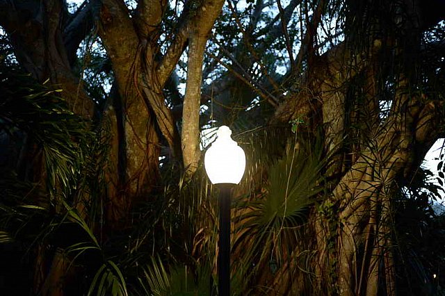 Hippocrates-1-15-17-7179-DDeRosaPhoto