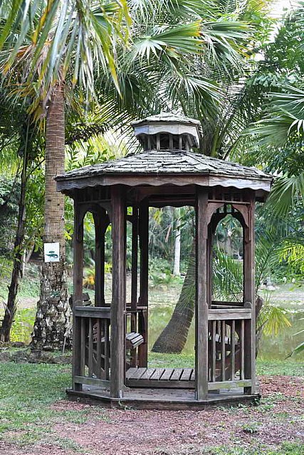 Hippocrates-1-20-17-3939-DDeRosaPhoto