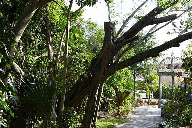 Hippocrates-2017-5543-DDeRosaPhoto