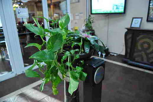 Hippocrates-1-15-17-3434-DDeRosaPhoto