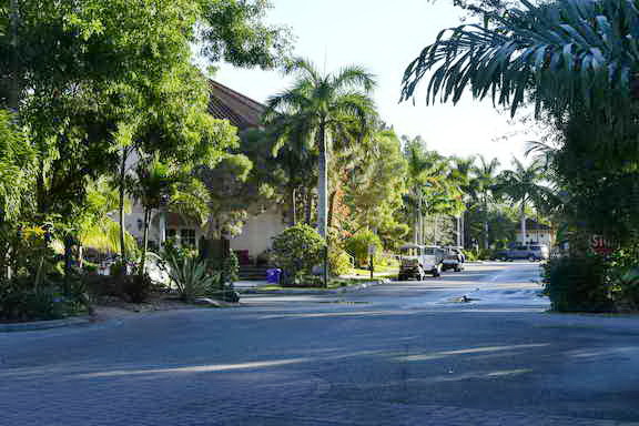 Hippocrates-1-15-17-3468-DDeRosaPhoto