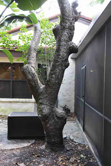 Hippocrates-1-20-17-3792-DDeRosaPhoto