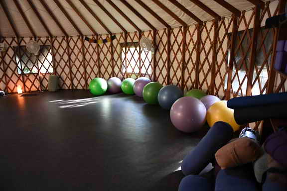 Hippocrates-1-20-17-3901-DDeRosaPhoto