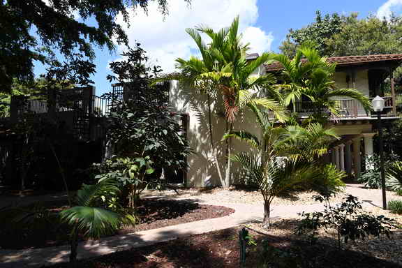 Hippocrates-3-12-17-6296-DDeRosaPhoto