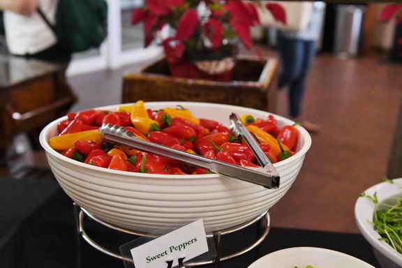 Hippocrates-1-15-17-3552-DDeRosaPhoto