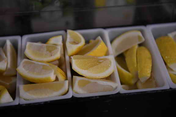 Hippocrates-1-15-17-3658-DDeRosaPhoto