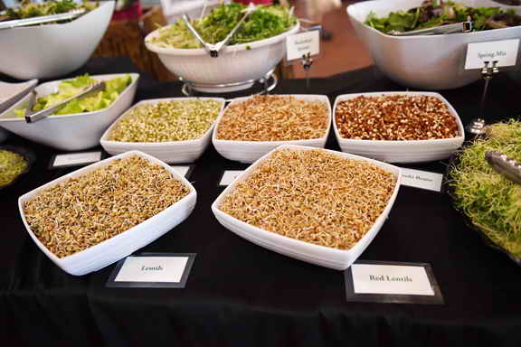 Hippocrates-1-15-17-3496-DDeRosaPhoto