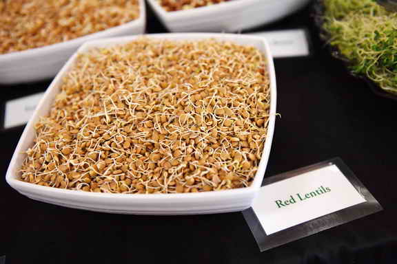 Hippocrates-1-15-17-3497-DDeRosaPhoto