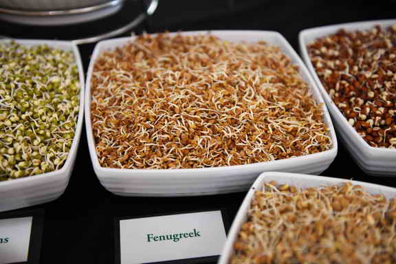 Hippocrates-1-15-17-3499-DDeRosaPhoto