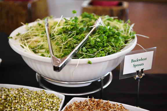 Hippocrates-1-15-17-3503-DDeRosaPhoto